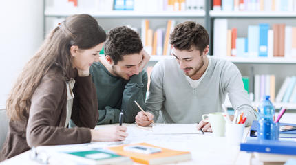 © - fotolia.com Students working on a project