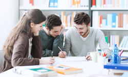 © - fotolia.com Students working on a project